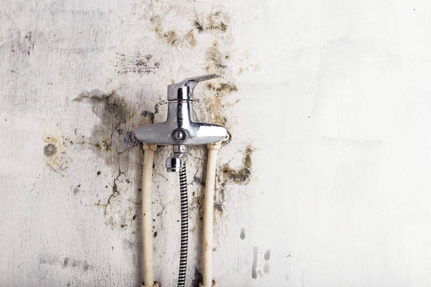 Trusted Somerset, WI Mold Remediation Experts