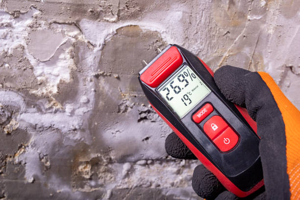 Best Basement Mold Remediation in Somerset, WI