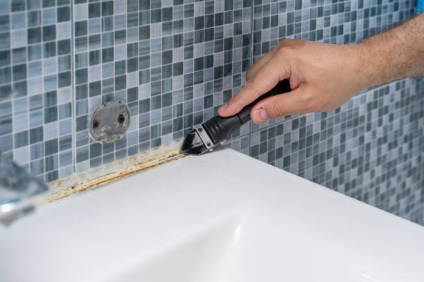 Best Insurance-Related Mold Remediation in Somerset, WI