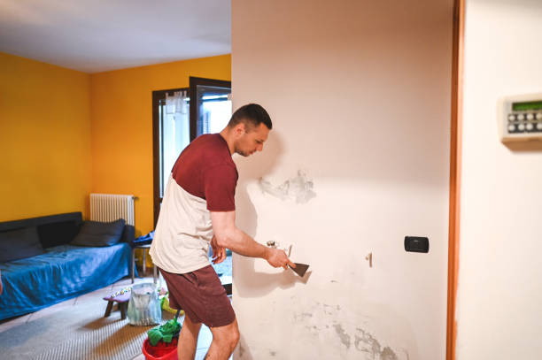 Best Preventive Mold Services in Somerset, WI